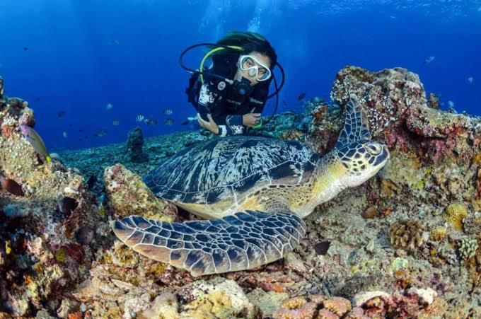 Apo Diver Beach Resort サンフアン エクステリア 写真