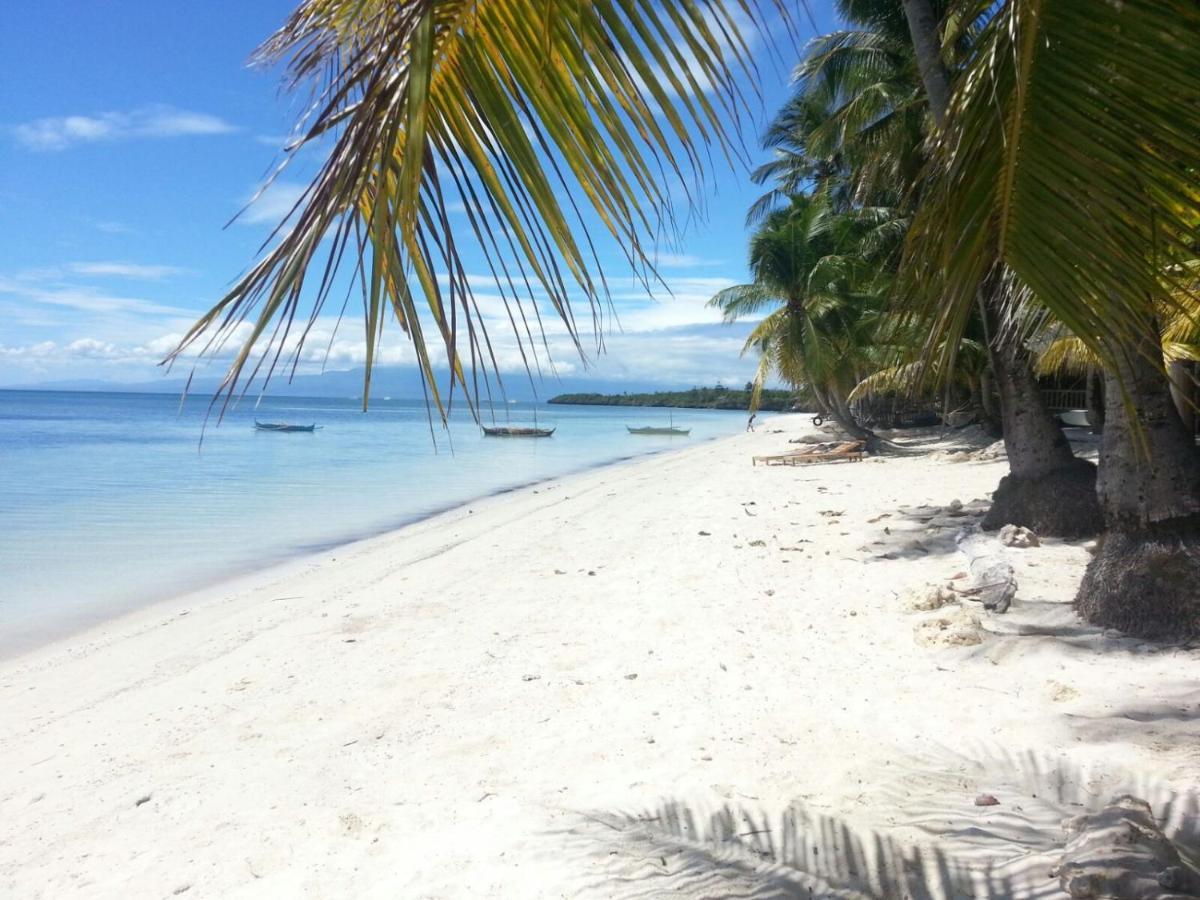 Apo Diver Beach Resort サンフアン エクステリア 写真