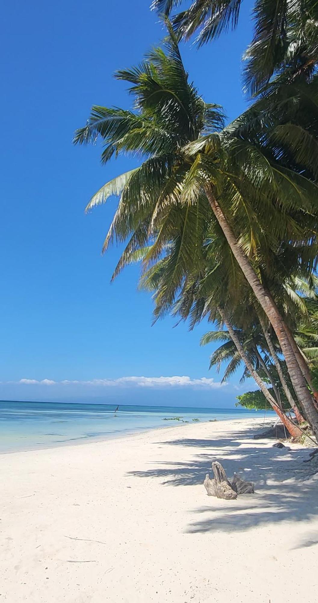 Apo Diver Beach Resort サンフアン エクステリア 写真